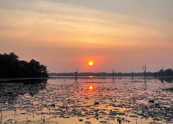 Angkor Nature Voyages *